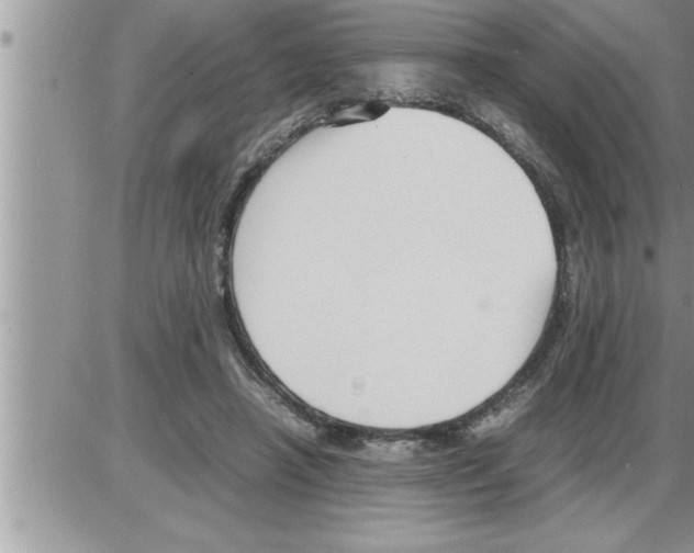 X0000086330450200704271946