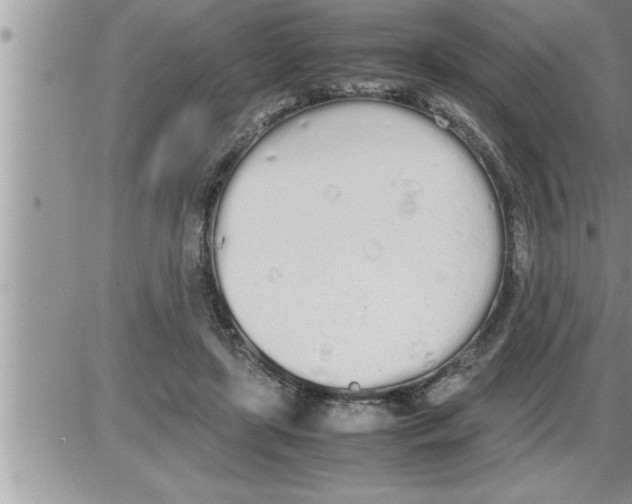 X0000086330451200704271946