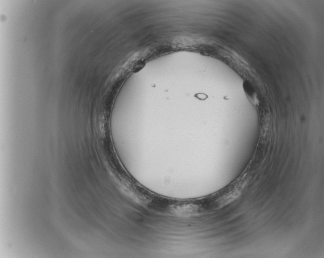 X0000086330452200704271946