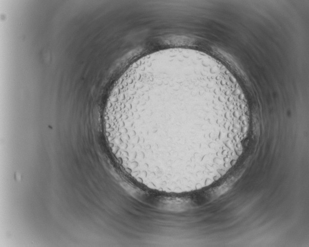 X0000086330453200704271946