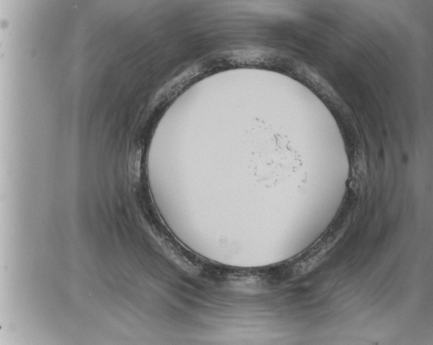 X0000086330454200704271946