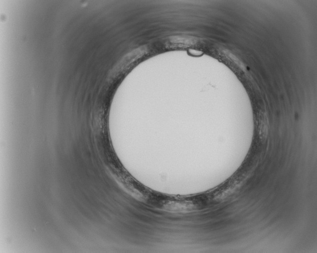 X0000086330455200704271946