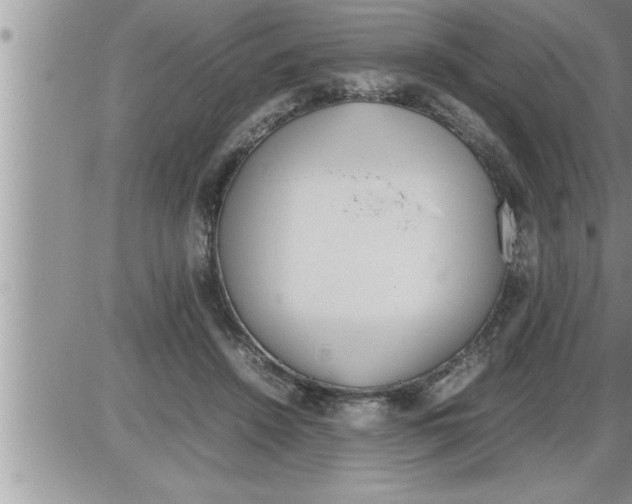 X0000086330456200704271946