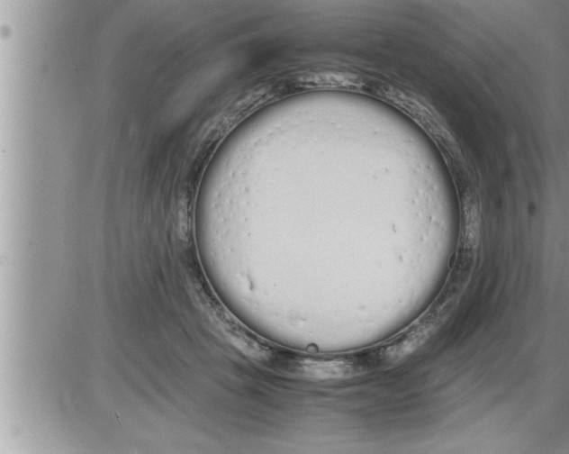 X0000086330457200704271946