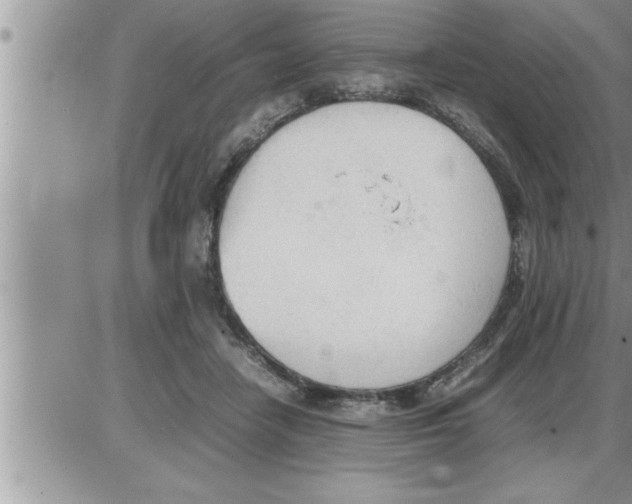 X0000086330458200704271946