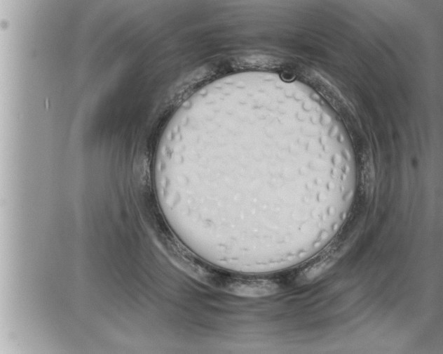 X0000086330459200704271946