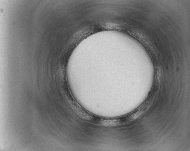 X0000086330461200704271946