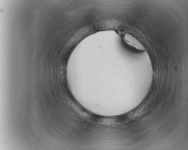 X0000086330462200704271946