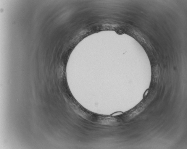 X0000086330463200704271946