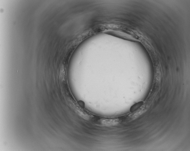 X0000086330465200704271946