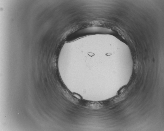 X0000086330466200704271946