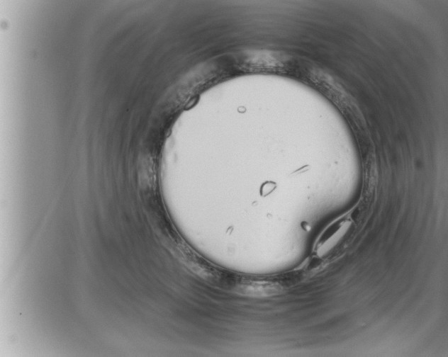 X0000086330467200704271946