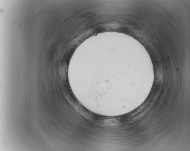 X0000086330468200704271946