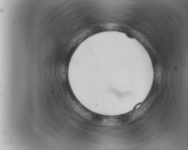 X0000086330470200704271947