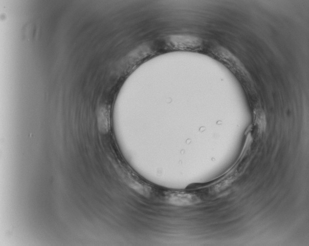 X0000086330471200704271947