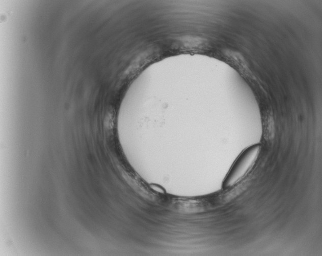 X0000086330472200704271947