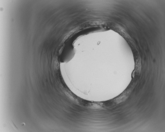 X0000086330474200704271947