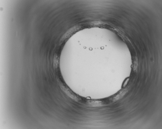 X0000086330476200704271947