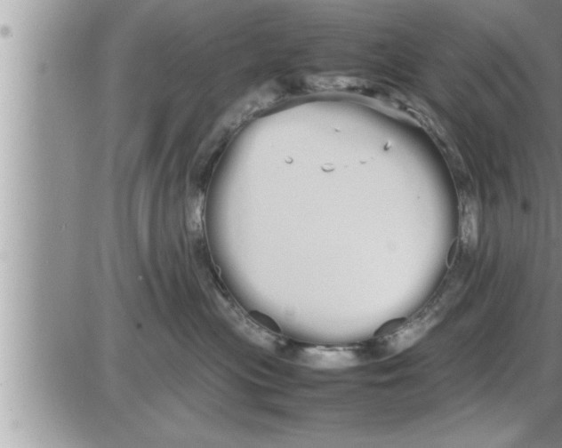 X0000086330477200704271947