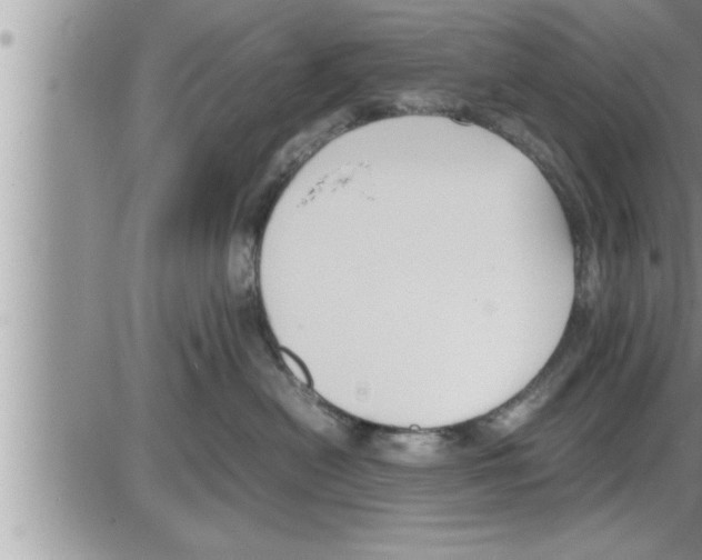 X0000086330478200704271947