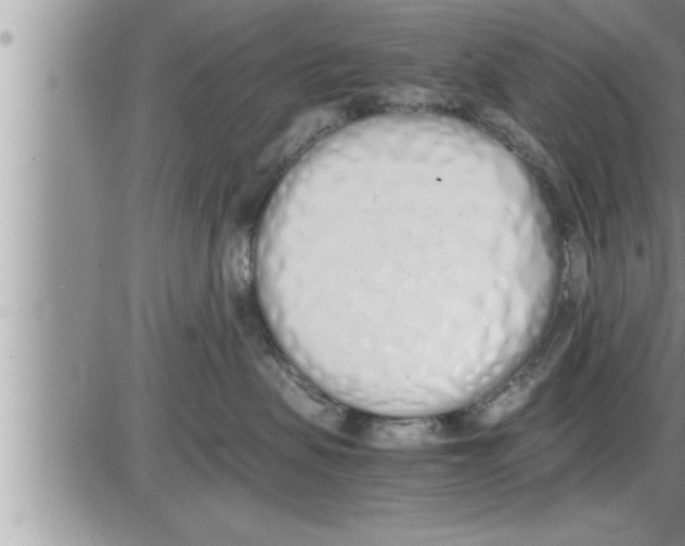 X0000086330479200704271947