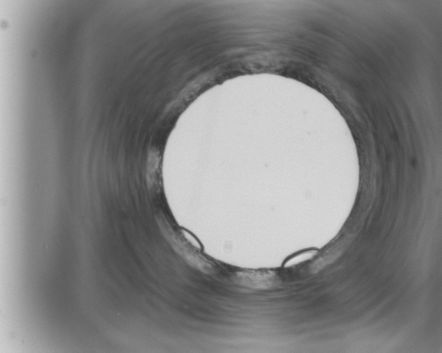 X0000086330480200704271947