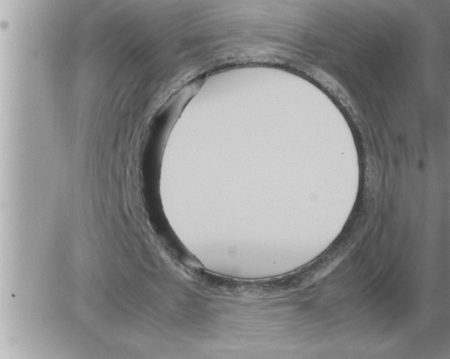 X0000086330481200704271946