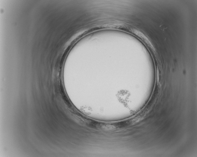 X0000086330483200704271946