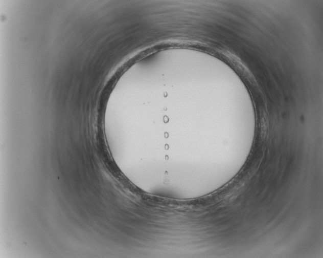 X0000086330484200704271946