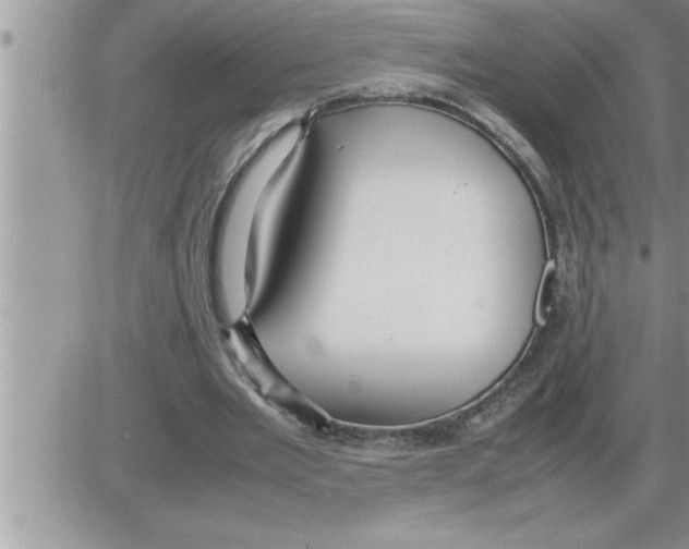 X0000086330485200704271946