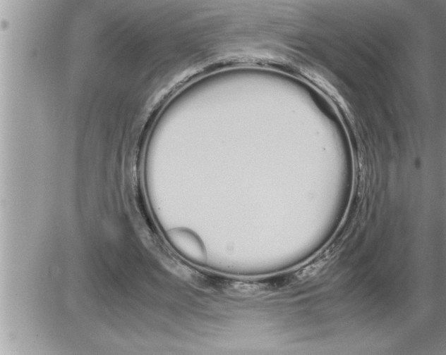 X0000086330487200704271946