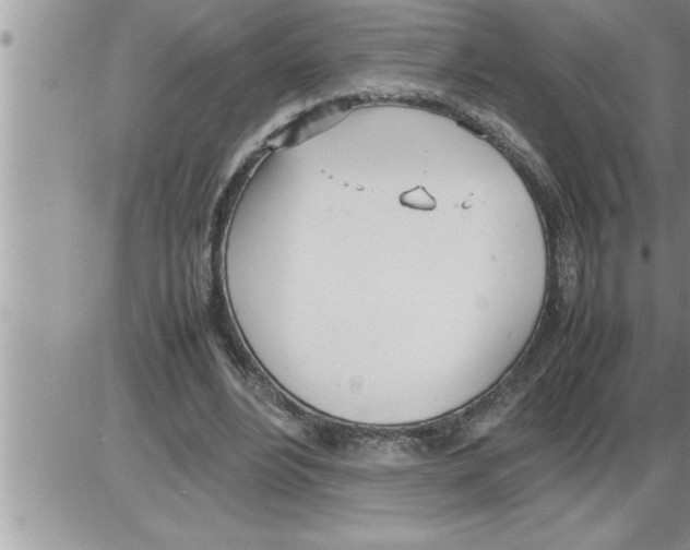 X0000086330488200704271946