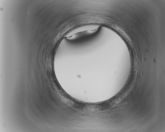 X0000086330489200704271946