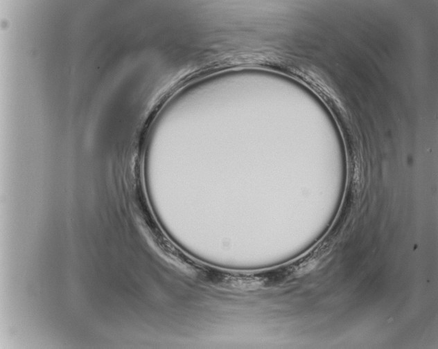 X0000086330491200704271946