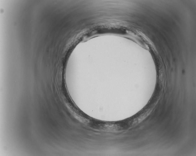 X0000086330493200704271946