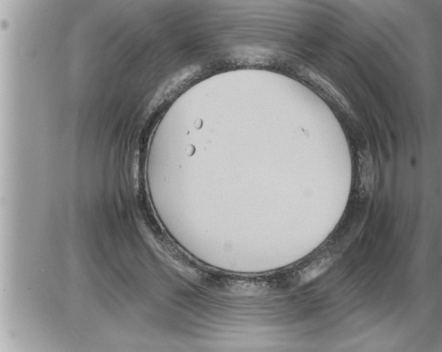 X0000086330494200704271946