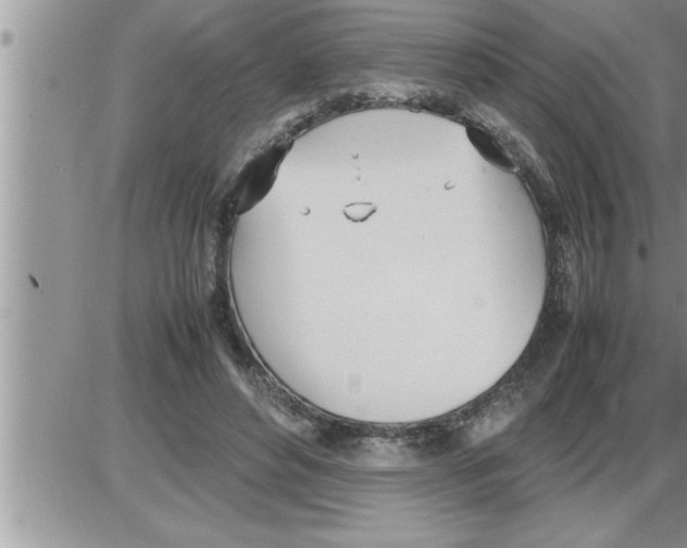 X0000086330496200704271946