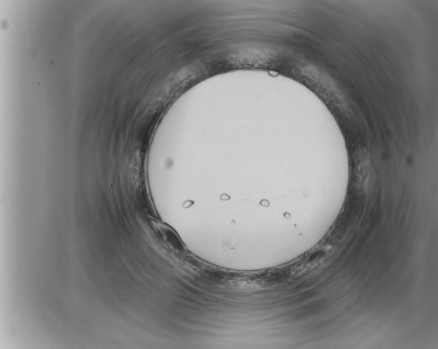 X0000086330498200704271946