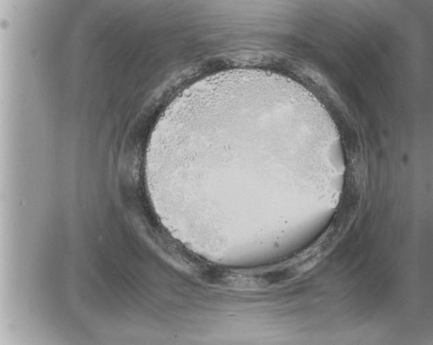 X0000086330499200704271946