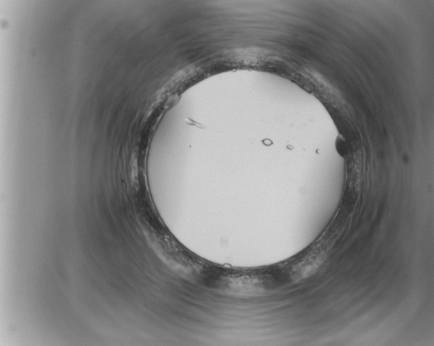 X0000086330500200704271946