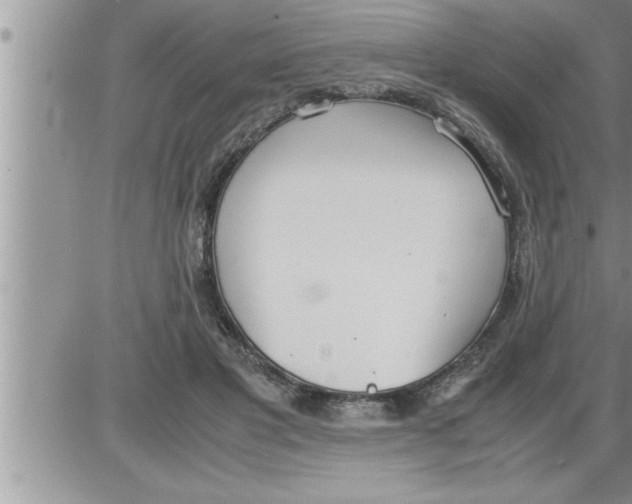 X0000086330501200704271946