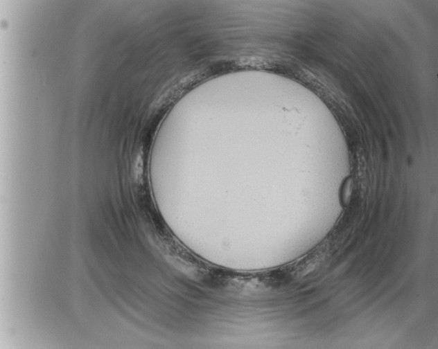 X0000086330502200704271946