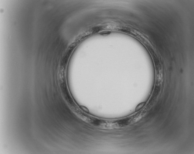 X0000086330503200704271946