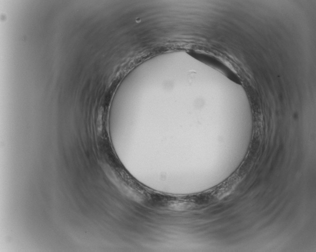 X0000086330504200704271946