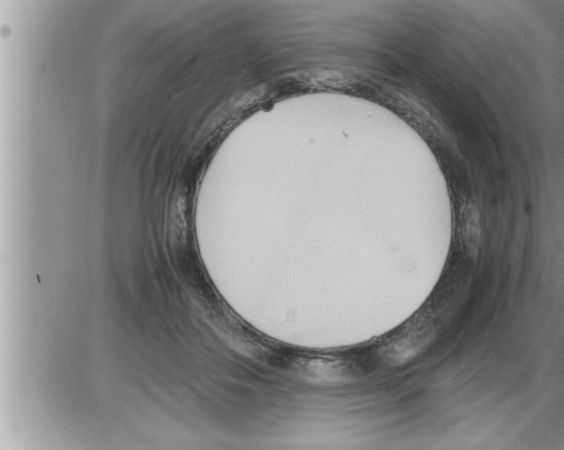 X0000086330506200704271945