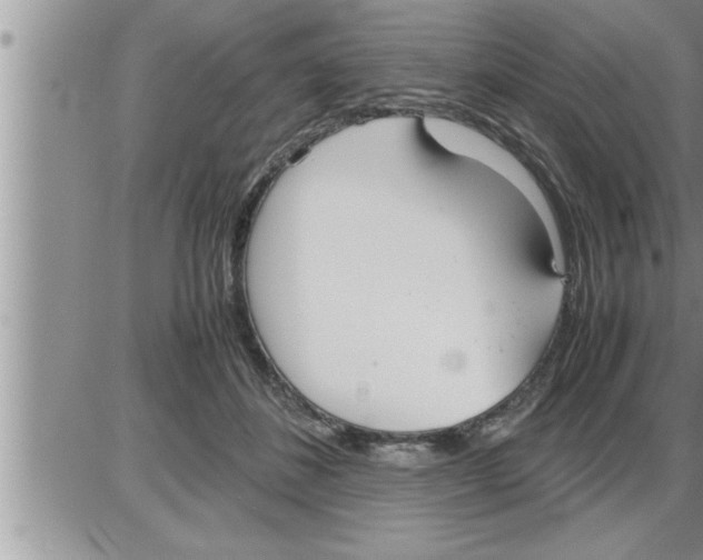 X0000086330508200704271945