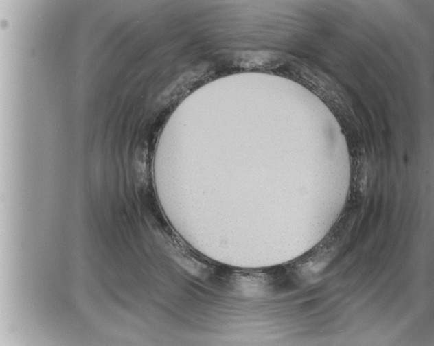 X0000086330510200704271945