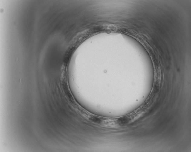 X0000086330511200704271945