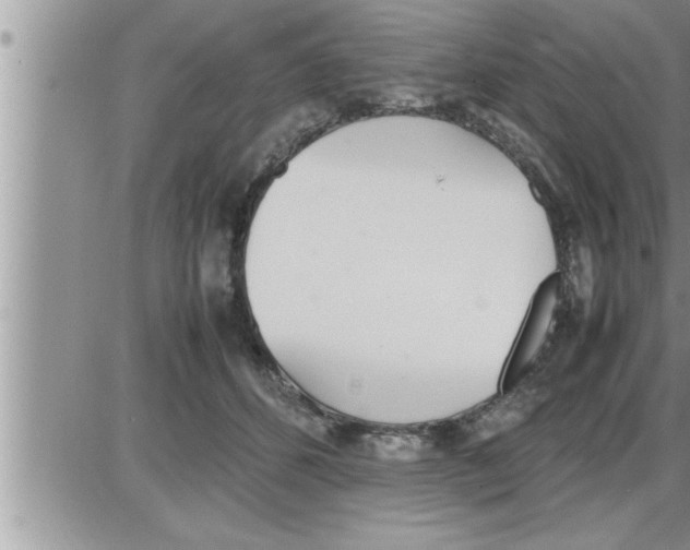 X0000086330512200704271945