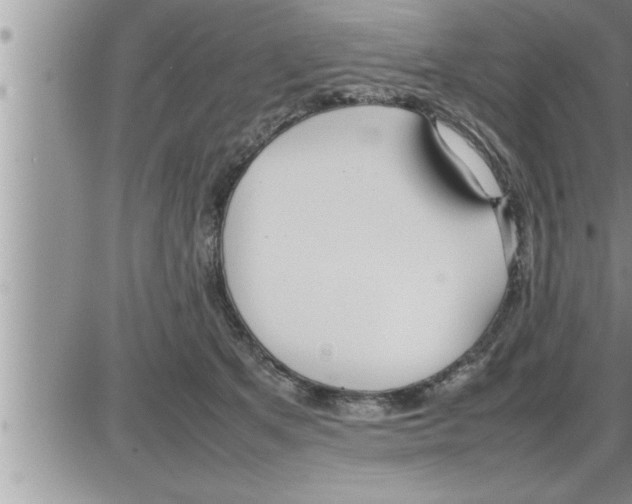 X0000086330513200704271945